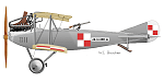 Click image for larger version. 

Name:	Albatros_C-III-Polish_Air_Service-sn-1031-600px.png 
Views:	482 
Size:	21.6 KB 
ID:	148598