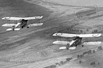 Bristol Fighters of 5 Sqn RAF in flight (1169 018)