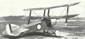 Name:  sopwith-triplane.jpg
Views: 774
Size:  13.9 KB