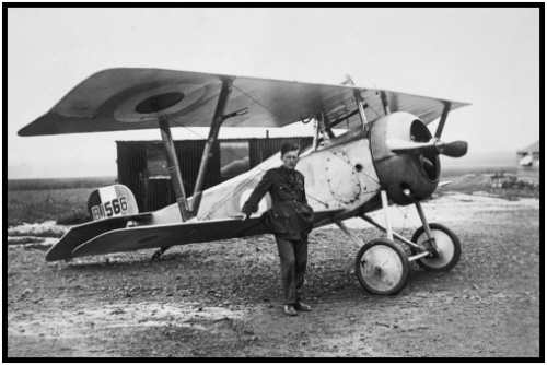 Name:  nieuport-bishop.jpg
Views: 806
Size:  76.9 KB