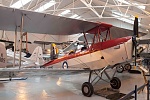 Tiger Moth