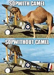 Click image for larger version. 

Name:	camel.jpg 
Views:	36 
Size:	74.4 KB 
ID:	151345