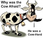 Click image for larger version. 

Name:	cow ard.jpg 
Views:	174 
Size:	12.3 KB 
ID:	205669