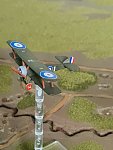 Just a few pics of a Shapeways model by Reduced Aircraft Factory. Two of them represent 46 Sqdn nos 1 and 4 from C flight. The other represents the Pup flown by Lt Oliver Stewart of 54 Sqdn in 1917. Paints various by Misterkit and Valejo, with the top surfaces of the 46 Sqdn aircraft a mix of Valejo Golden yellow and Black. Not the best of paint jobs, but they'll have to do for now. Got more on the way :) Decals again are a mixture of Miscmini, Skelton and Valom. I've had them for so long I've got them all mixed up so cannot be certain which is which. Sorry!

Adding a few more pics in November 2022 - Additional Sopwith Pups for use in the OTT campaign "Edgy Young Men" and the existing two tidied up somewhat. Models by Reduced Aircraft Factory available from Shapeways. Paints are all by Vallejo and decals from Miscmini.