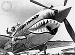 P40Tigers