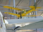 Tiger Moth