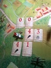 Turn 9   Move 1   Damage to the Nieuport 17