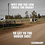 Click image for larger version. 

Name:	Cow Joke.jpg 
Views:	115 
Size:	44.9 KB 
ID:	193761