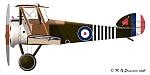 sopwith camel b6313 final