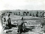 Click image for larger version. 

Name:	WW1 German Balloon Camouflage preparing to fill.jpg 
Views:	133 
Size:	160.8 KB 
ID:	54430