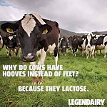 Click image for larger version. 

Name:	lactose.jpg 
Views:	95 
Size:	51.7 KB 
ID:	189773