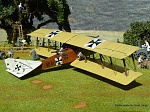 Hansa Brandenburg G.I Choroszy kit 1 
 
Model used for color scheme on WWF cards in Central Powers Bombers Album. 
 
Not necessarily accurate, just...