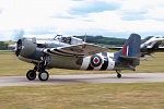 Grumman Wildcat (2)