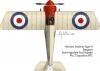 Morane Saulnier Type N